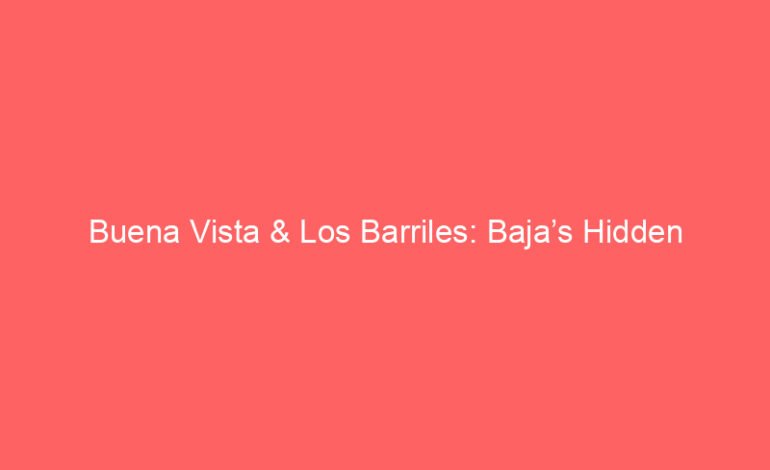 Buena Vista & Los Barriles: Baja’s Hidden Gems for Coastal Living
